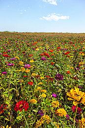 腾讯游戏发布2024年端午节未成年人限玩通知：4天每天1小时